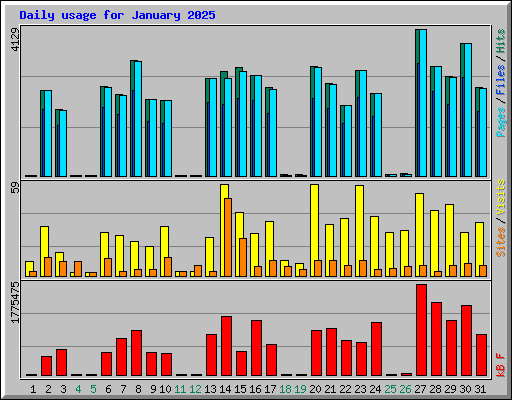 Daily usage for January 2025