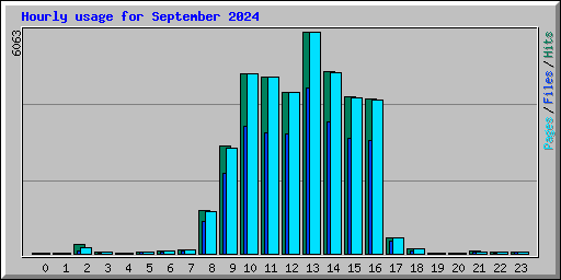 Hourly usage for September 2024