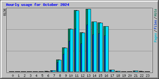 Hourly usage for October 2024