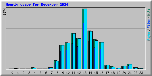 Hourly usage for December 2024