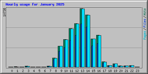 Hourly usage for January 2025