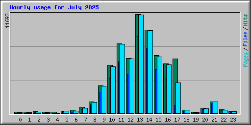 Hourly usage for July 2025