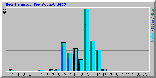 Hourly usage for August 2025