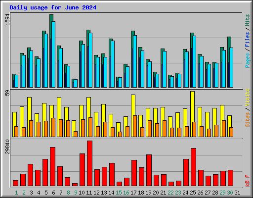 Daily usage for June 2024