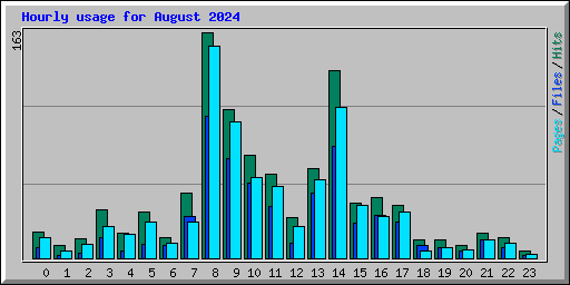 Hourly usage for August 2024